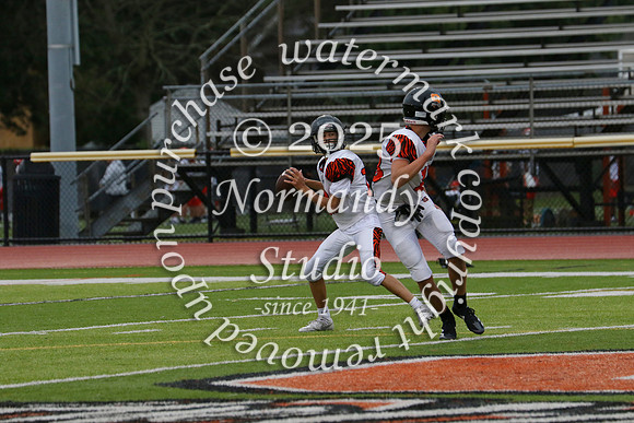 SVL_fb-f_60