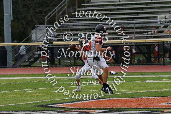 SVL_fb-f_61