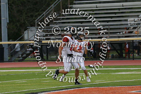 SVL_fb-f_62