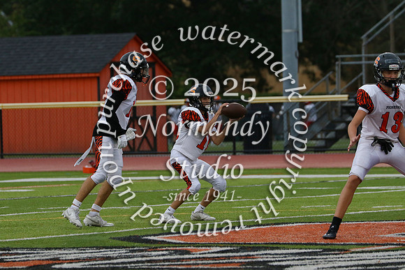 SVL_fb-f_64