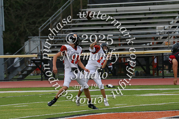 SVL_fb-f_63