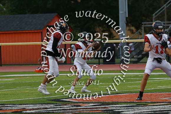 SVL_fb-f_65