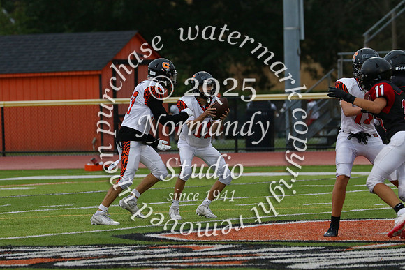 SVL_fb-f_66