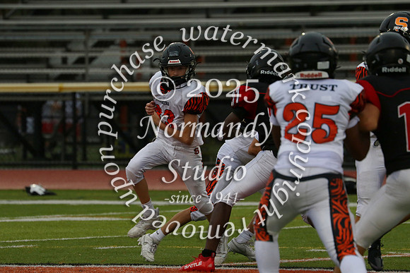 SVL_fb-f_67