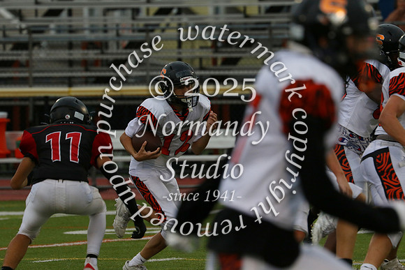 SVL_fb-f_69