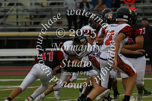 SVL_fb-f_70