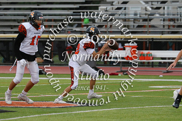 SVL_fb-f_71