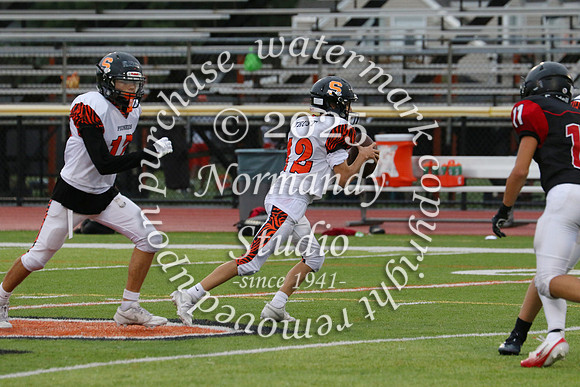 SVL_fb-f_73