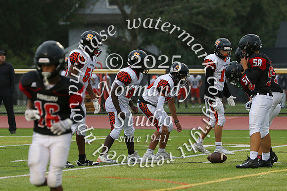 SVL_fb-f_74