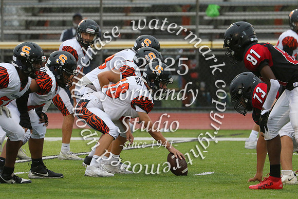 SVL_fb-f_75