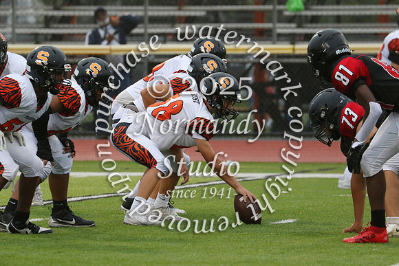 SVL_fb-f_78