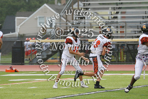 SVL_fb-f_80