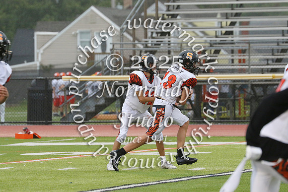SVL_fb-f_79