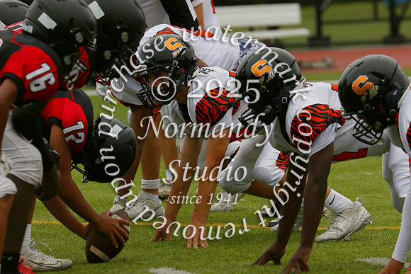 SVL_fb-f_01