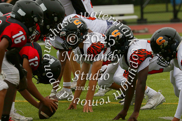 SVL_fb-f_02