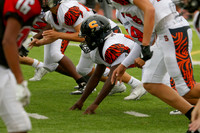 SVL_fb-f_03