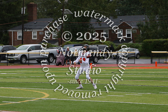 SVL_fb-f_04