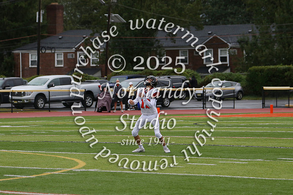 SVL_fb-f_05