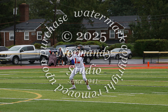 SVL_fb-f_06