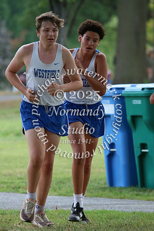 WHS_cc-b_39
