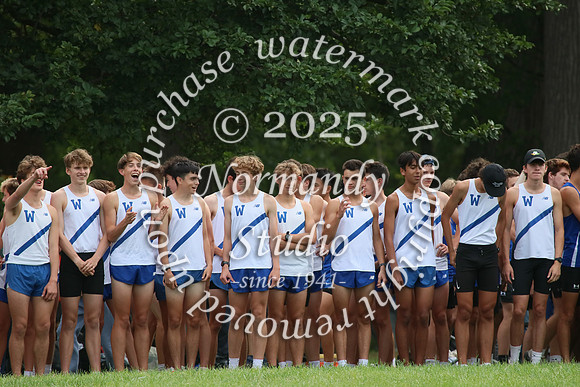 WHS_cc-b_53