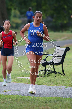 WHS_cc-g_08