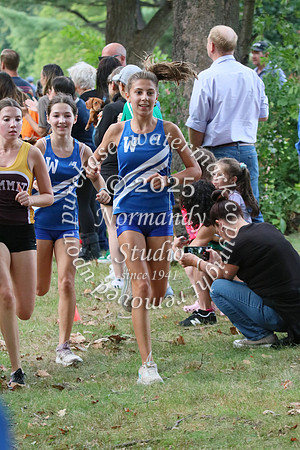WHS_cc-g_32