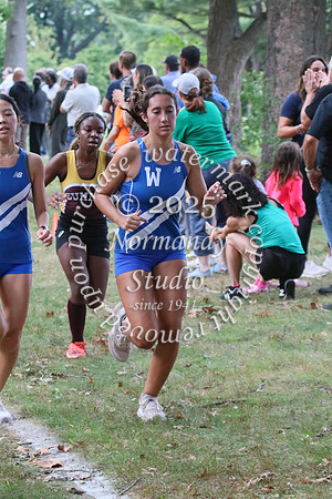 WHS_cc-g_36