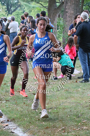 WHS_cc-g_37