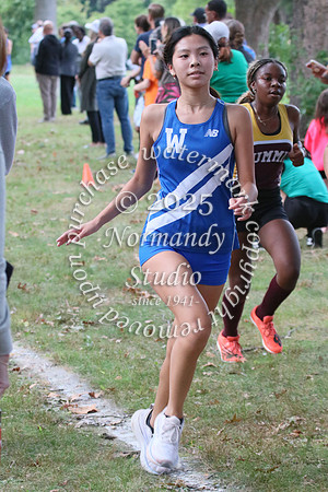 WHS_cc-g_38