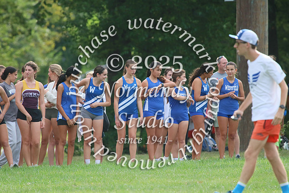 WHS_cc-g_02
