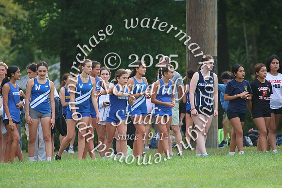 WHS_cc-g_03
