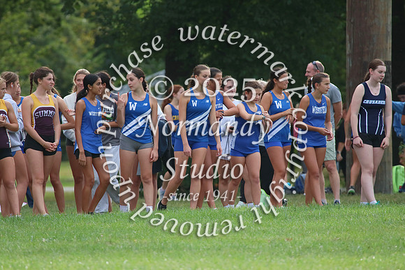 WHS_cc-g_04