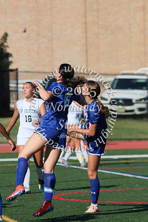 WHS_so-g_07