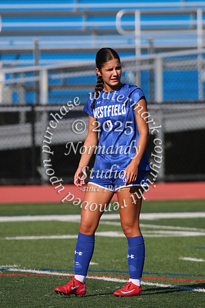 WHS_so-g_08