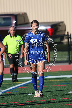 WHS_so-g_10