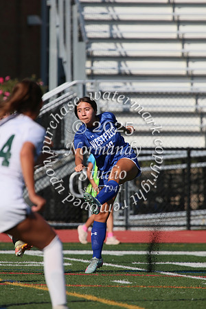 WHS_so-g_13