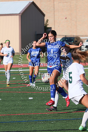 WHS_so-g_33