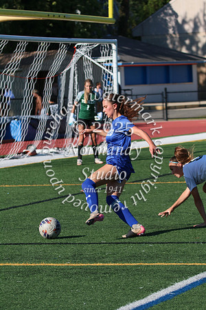 WHS_so-g_36