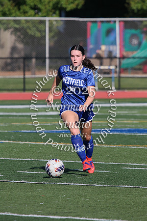 WHS_so-g_45