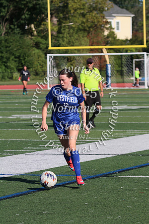 WHS_so-g_51