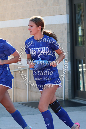 WHS_so-g_66