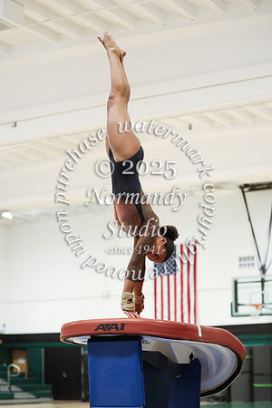 WTG_gy_15