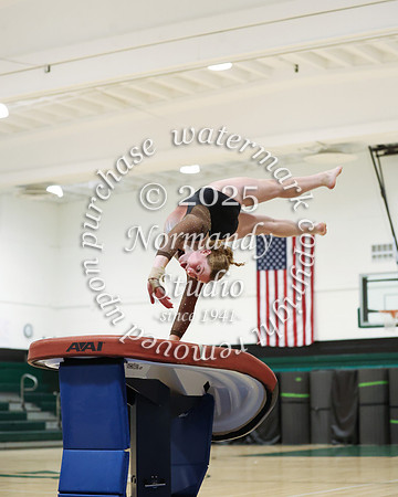 WTG_gy_33