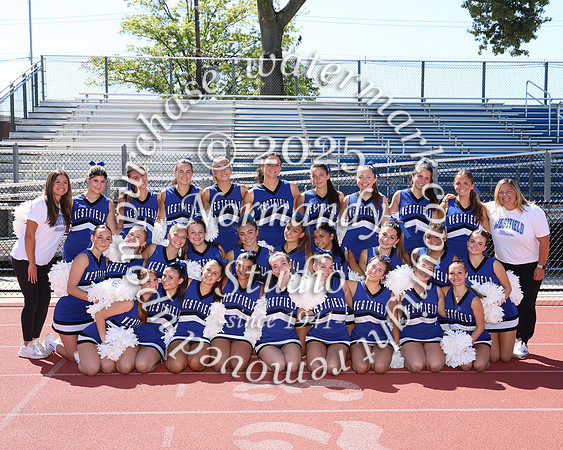 WHS_ch-t_17
