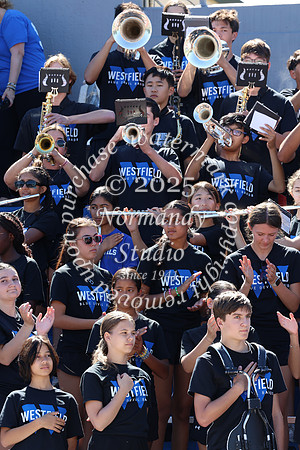 WHS_mb_stands_13