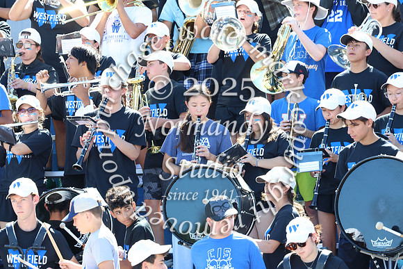 WHS_mb_stands_17