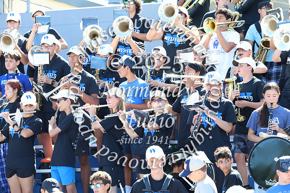 WHS_mb_stands_19
