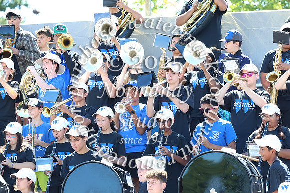 WHS_mb_stands_27