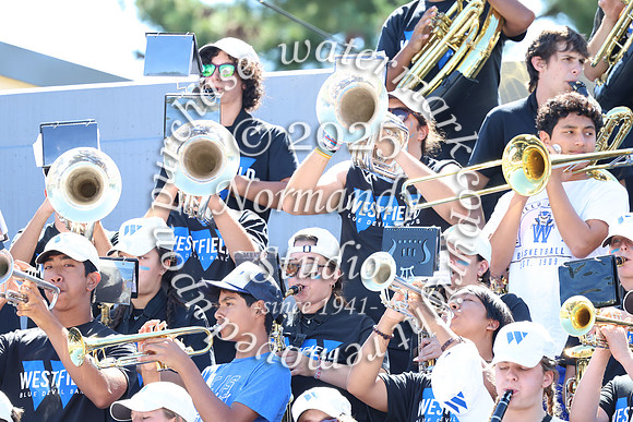 WHS_mb_stands_31